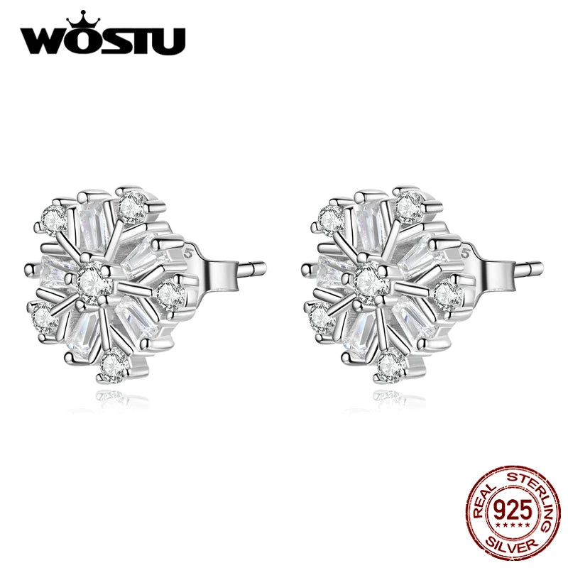 925 Silver Snowflake Zircon Stud Earrings Party Jewelry
