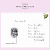 Owl Charm 925 Silver Zircon Beads, DIY Jewelry Making