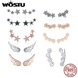 925 Silver Heart Star Zircon Stud Earrings Wedding Jewelry