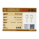 925 Silver Star & Moon Zircon Earrings Women CQE785