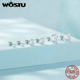 925 Silver Zircon Screw Ear Studs for Women Party FIE1646