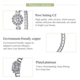 30mm Hoop Earrings Bling AAA Zircon Silver Earrings Bulk Set