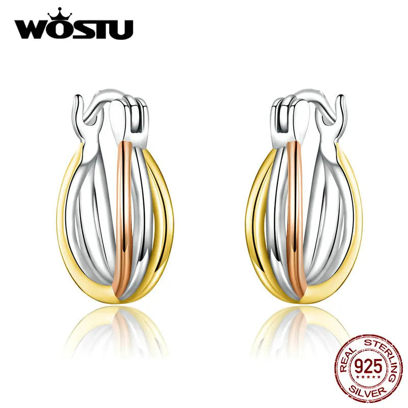 925 Silver Bicolor Earrings Women Jewelry CQE719