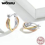 925 Silver Bicolor Earrings Women Jewelry CQE719