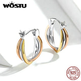 925 Silver Bicolor Earrings Women Jewelry CQE719
