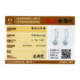 925 Silver Zircon Drop Earrings Wedding Jewelry