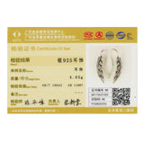 925 Silver Feather Wings Long Drop Earrings Women Jewelry