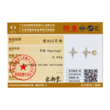925 Silver Star Stud Earrings for Women