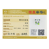 925 Sterling Silver Panda & Bamboo Beads Charm for Bracelet
