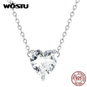 925 Silver Zircon Heart Charm Necklace for Women