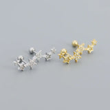 925 Silver Zircon Diamond Star Cluster Stud Earrings Women's Jewelry