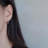 S925 Sterling Silver Fringe Earrings Women Diamonds Sparkling Jewelry