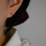 S925 Sterling Silver Round Zircon Diamond Earrings for Women