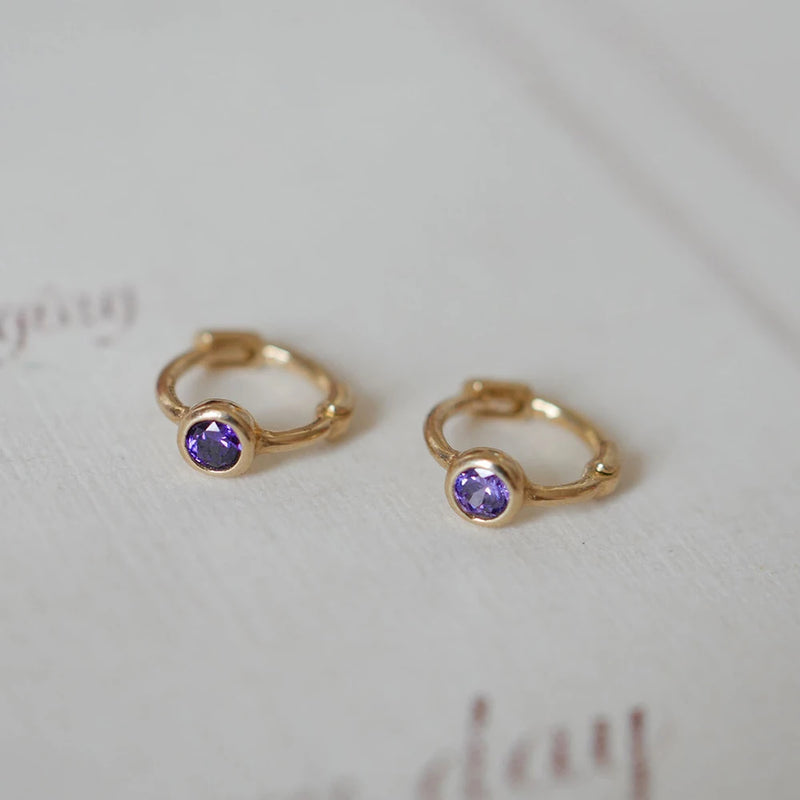 S925 Sterling Silver Round Zircon Diamond Earrings for Women