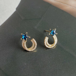 S925 Sterling Silver Star Earrings for Women