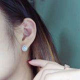 S925 Sterling Silver Diamond Drops Earrings Bright Zircon Girl's Gift