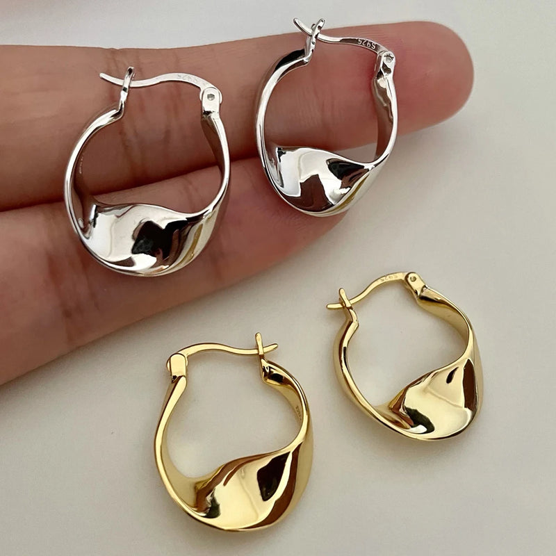 S925 Silver Twisted Circles Diamond Earrings Women's Jewelry
