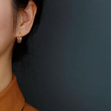 Colorful Zircon Earrings Women's Sterling Silver Jewelry