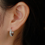 Colorful Zircon Earrings Women's Sterling Silver Jewelry