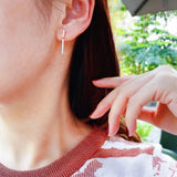 S925 Sterling Silver Zircon Diamond Stud Earrings Women's Jewelry