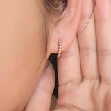 S925 Silver Zircon Diamond Circle Stud Earrings Women's Jewelry
