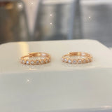 S925 Silver Zircon Diamond Circle Stud Earrings Women's Jewelry