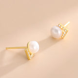 S925 Zircon V Pearl Stud Earrings Women K Plated Jewelry
