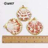 Colorful Natural Scallop Shell Pendant for Necklace