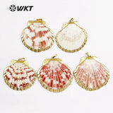 Colorful Natural Scallop Shell Pendant for Necklace