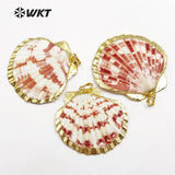 Colorful Natural Scallop Shell Pendant for Necklace