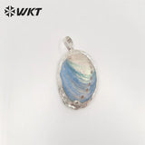 Abalone Shell and Silver Pendant Party Jewelry
