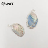 Abalone Shell and Silver Pendant Party Jewelry