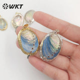 Abalone Shell and Silver Pendant Party Jewelry