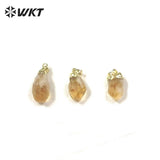 Natural Topazs Pendant with Chain Jewelry for Women