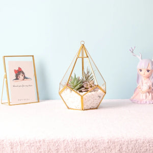 Geometric Terrarium Modern Indoor Opening Polyhedron Pot Containers Decor