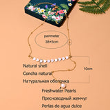 Waterproof Stainless Steel Choker Necklace Women Freshwater Pearl Shell