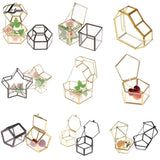 Glass Terrarium Wedding Ring Box with Greenery