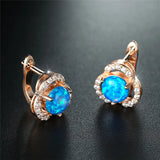 Opal Round Stone Earrings Crystal Hoop Earrings