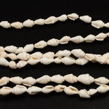 Conch Shell Beads Trumpet Bead for DIY Jewelry Making