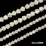 Natural Mother of Top Shell Beads 6/8mm