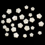 Natural Mother of Top Shell Beads 6/8mm