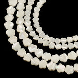 Natural Mother of Top Shell Beads 6/8mm
