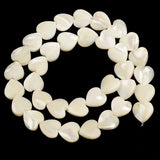 Trochus Shell Stone Bead Charm Loose Beads Jewelry Making DIY