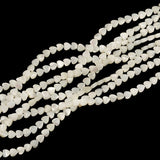 Trochus Shell Stone Bead Charm Loose Beads Jewelry Making DIY