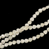 Trochus Shell Stone Bead Charm Loose Beads Jewelry Making DIY