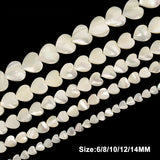 Trochus Shell Stone Beads for Jewelry Making DIY Bracelet Necklace