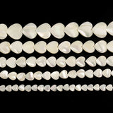 Trochus Shell Stone Beads for Jewelry Making DIY Bracelet Necklace