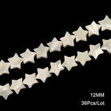 Mother Of Pearl Shell Star Beads For DIY Jewelry