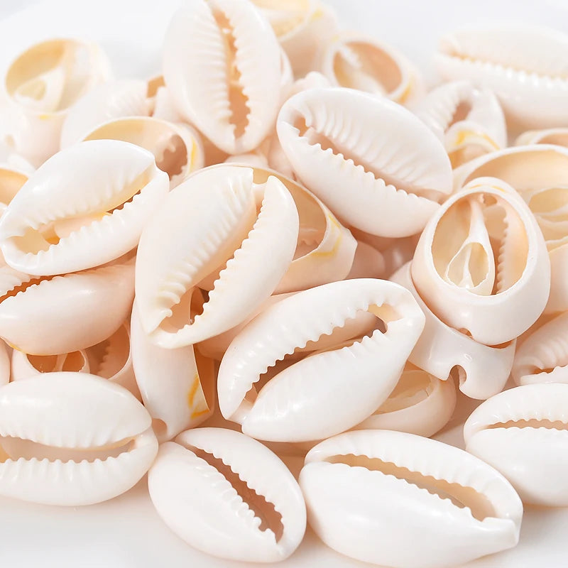 Natural Oval Shell Beads Without Holes Charm Cowrie Conch Loose Spacer Beads