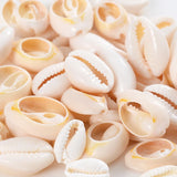 Natural Oval Shell Beads Without Holes Charm Cowrie Conch Loose Spacer Beads
